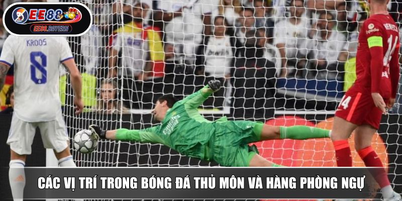 Các Vị Trí Trong Bóng Đá Giải Mã Bí Mật Cùng Chuyên Gia 2 Các vị trí trong bóng đá thủ môn và hàng phòng ngự