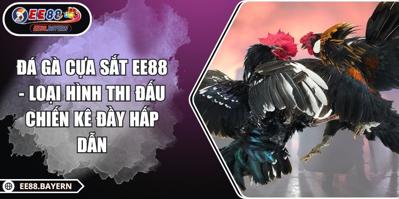 Đá Gà Cựa Sắt EE88 - Loại Hình Thi Đấu Chiến Kê Đầy Hấp Dẫn