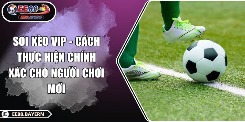Soi Kèo VIP - Cách Thực Hiện Chính Xác Cho Người Chơi Mới 1 Soi Kèo VIP - Cách Thực Hiện Chính Xác Cho Người Chơi Mới