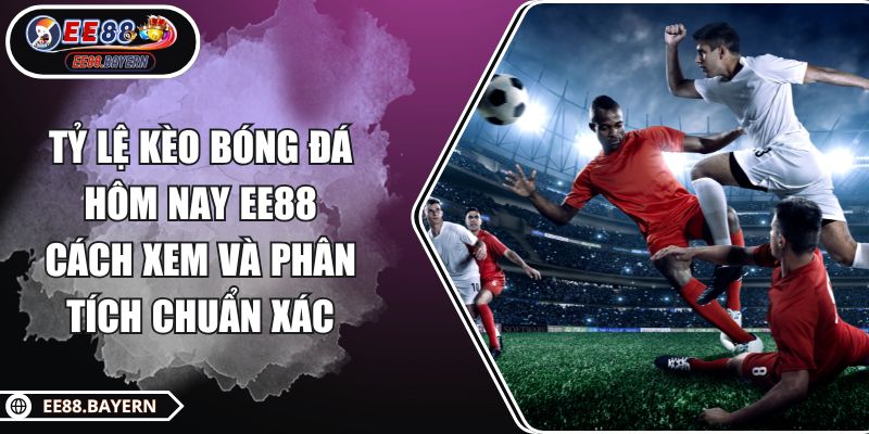 Tỷ Lệ Kèo Bóng Đá Hôm Nay EE88 - Cách Xem Và Phân Tích Chuẩn Xác 1 Tỷ Lệ Kèo Bóng Đá Hôm Nay EE88 - Cách Xem Và Phân Tích Chuẩn Xác