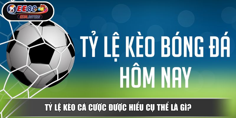 Tỷ Lệ Kèo Cá Cược - Hướng Dẫn Đọc Và Phân Tích Tỷ Lệ Kèo Chuẩn 2 Tỷ lệ kèo cá cược được hiểu cụ thể là gì?